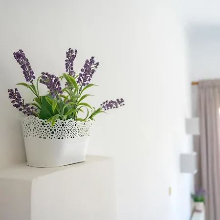 Galini House - Island Appartement